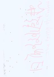 晒斑的各种图片大全